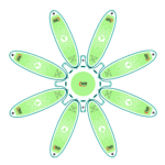 plateforme yoga paddle